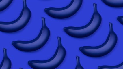 Réchauffement climatique : les bananes vont-elles devenir bleues ?
