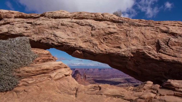 Découverte : le fossile d'un animal inconnu datant de 300 millions d'années retrouvé ?