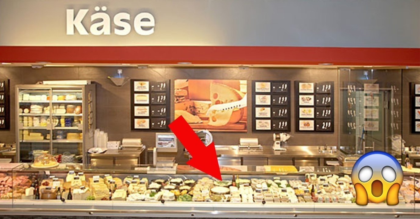 Casu Marzu: Ein italienischer Käse voller Maden