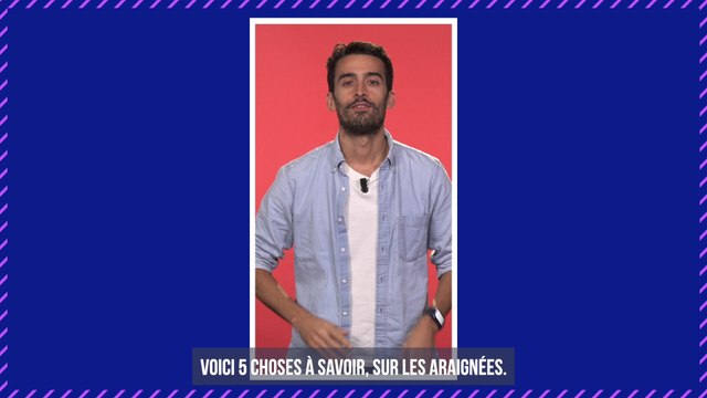 Une nouvelle espèce de ver tueur d'araignée découverte