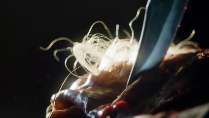 The Walking Dead 9. Sezon Orijinal Teaser