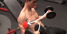 Wendet diese Technik beim Workout an und trainiert euch so einen größeren Bizeps an!