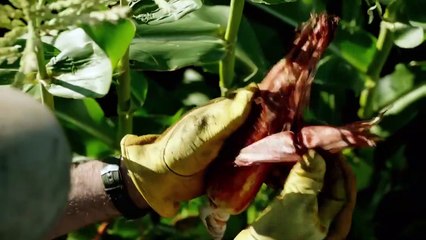 The Last Ship - season 4 Orijinal Fragman