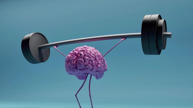 Cerveau : où sont stockés nos souvenirs dans notre mémoire ?