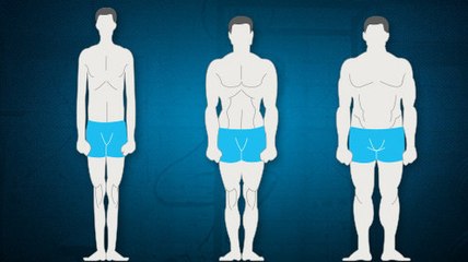 So passt du dein Training an deine Morphologie perfekt an!