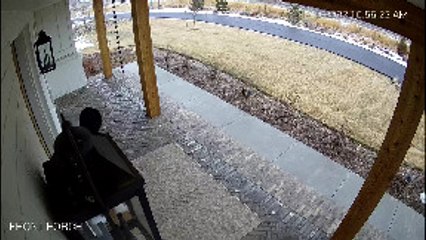 Kid Slips and Skids Down Stairs