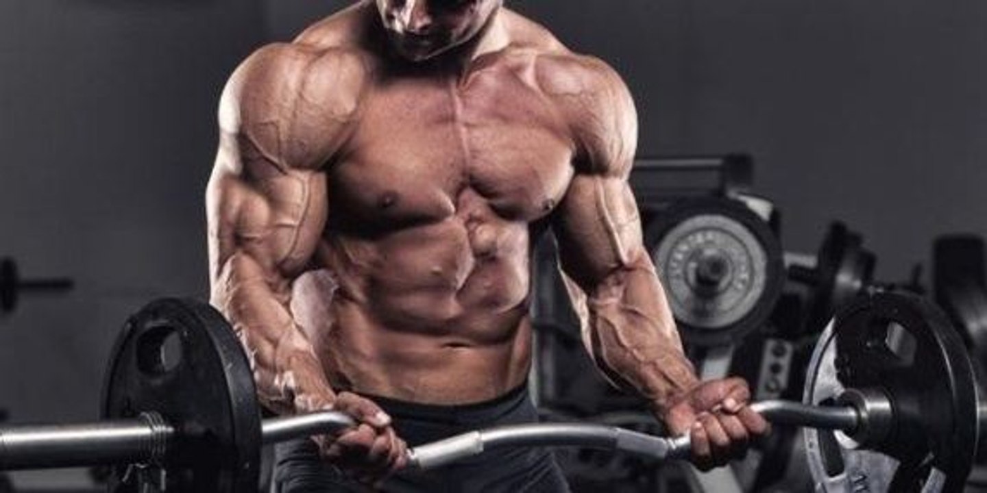 Darum erlaubt euch das Splittraining schneller vorwärtszukommen!