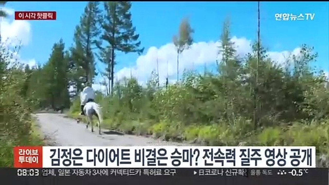 [핫클릭] 김정은 다이어트 비결은 승마? 전속력 질주 영상 공개 外