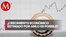 Crecimiento económico para los próximos años se ve complicado: director de Economía Sustentable