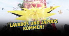 Pokémon GO: Wir wissen, wann Lavados und Zapdos in den legendären Raids erscheinen
