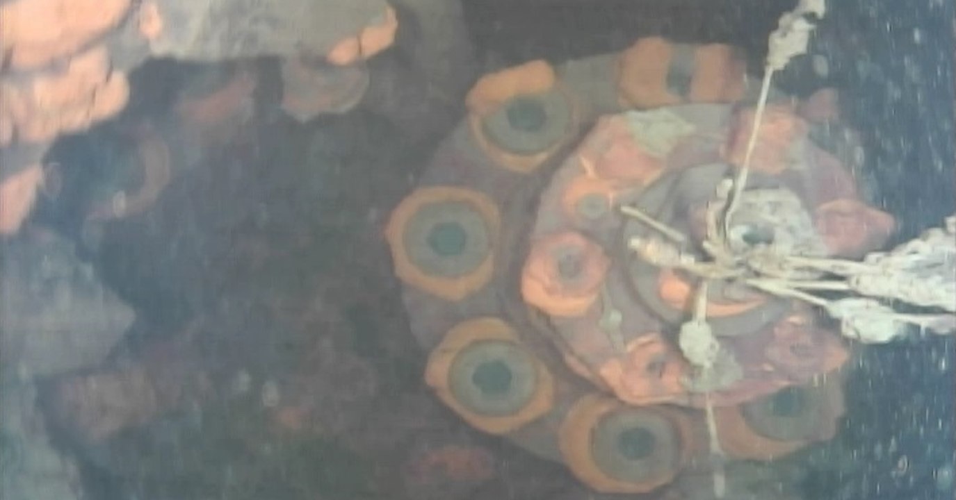 Fukushima: Roboter filmt erstmals Brennelemente