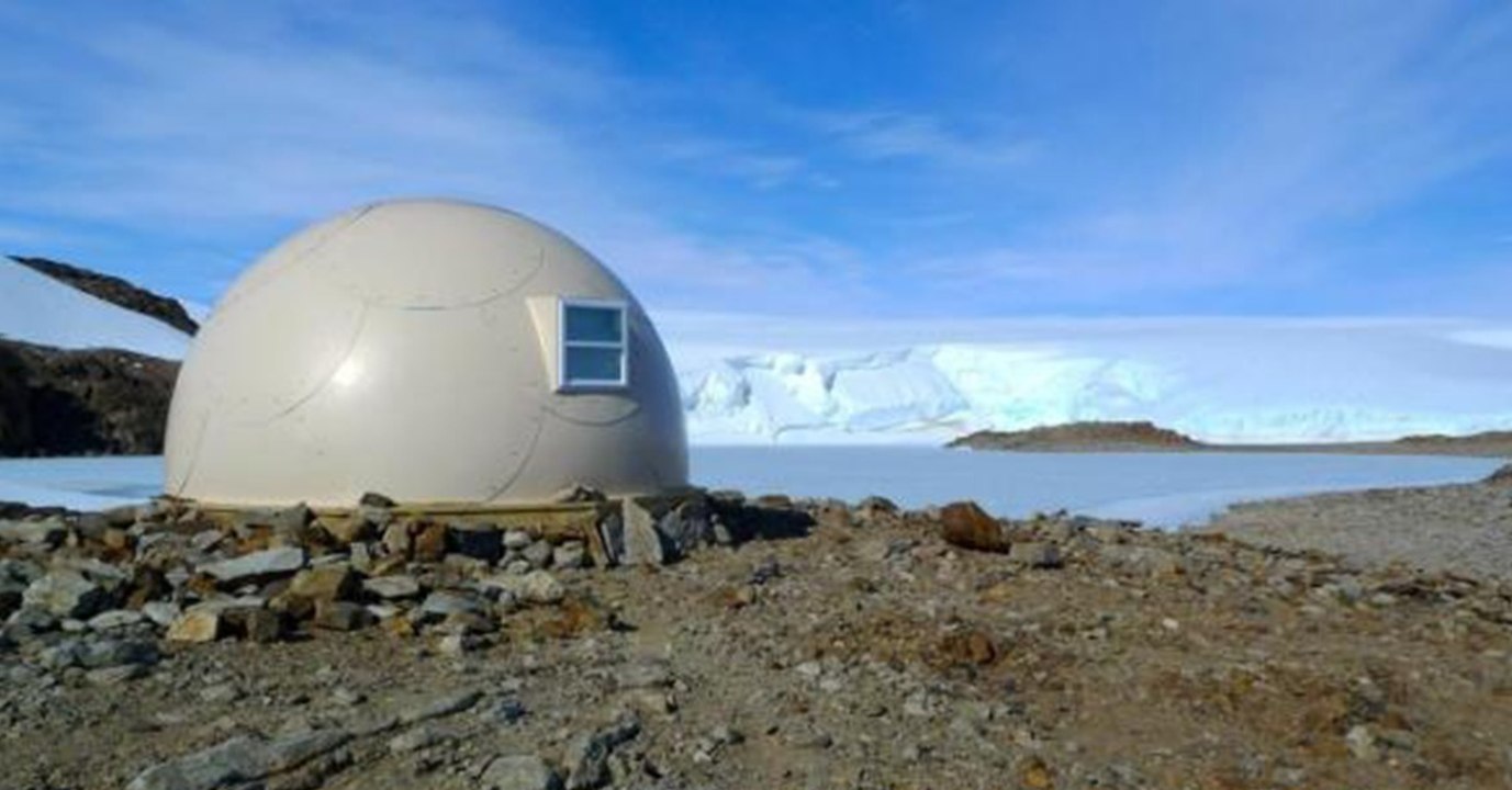 Exotisches Urlaubsziel: In diesem Hotel sind Pinguine deine Nachbarn