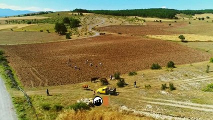 Seven Ne Yapmaz 1.Bölüm Fragmanı