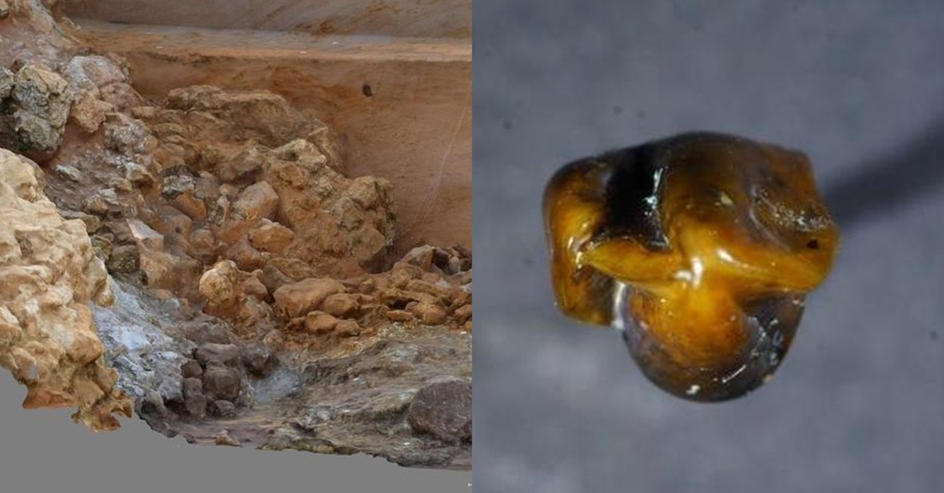 Sensationsfund: Älteste menschliche Spuren in Deutschland entdeckt