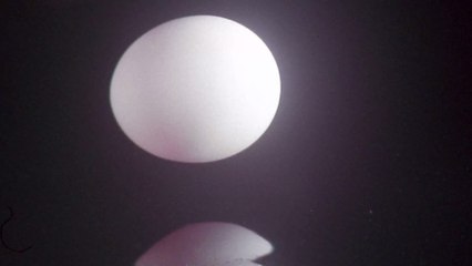 Richtige Lagerung: Deshalb gehören Eier nicht in die Kühlschranktür