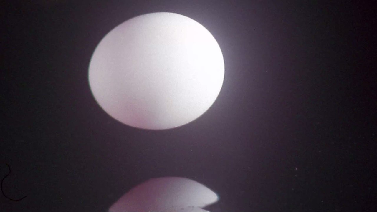 Richtige Lagerung: Deshalb gehören Eier nicht in die Kühlschranktür