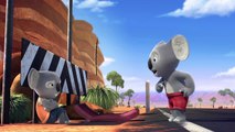 Blinky Bill: Kahraman Koala - Türkçe Dublajlı Fragman