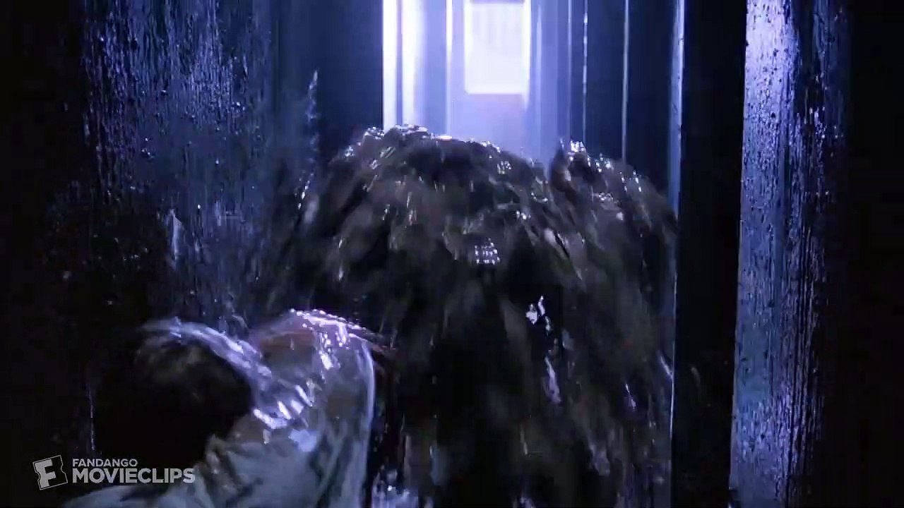 Esaretin Bedeli Orijinal Klip - Andy Escapes