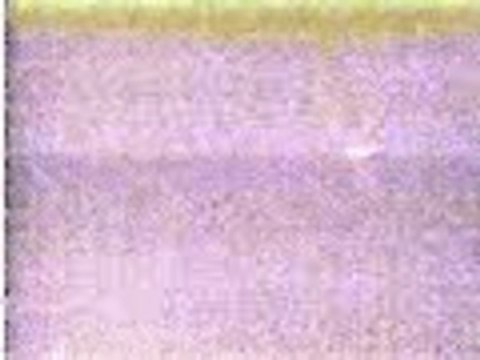 Banned Videos - UFO craft crashes in New Mexico 1997