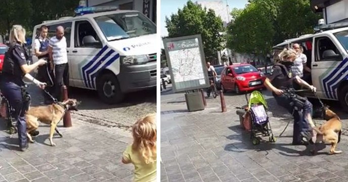 Polizistin tritt ihren Diensthund