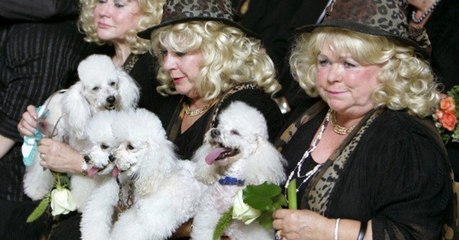 Wieder erschüttert ein Todesfall die Jacob Sisters