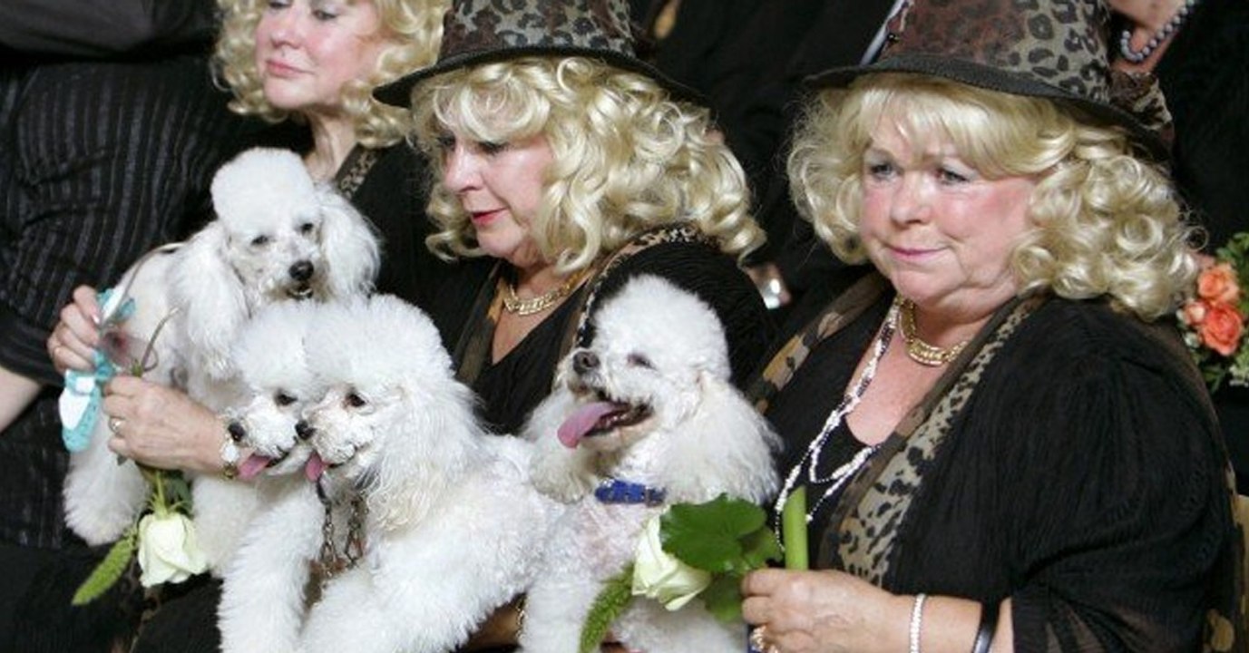 Wieder erschüttert ein Todesfall die Jacob Sisters