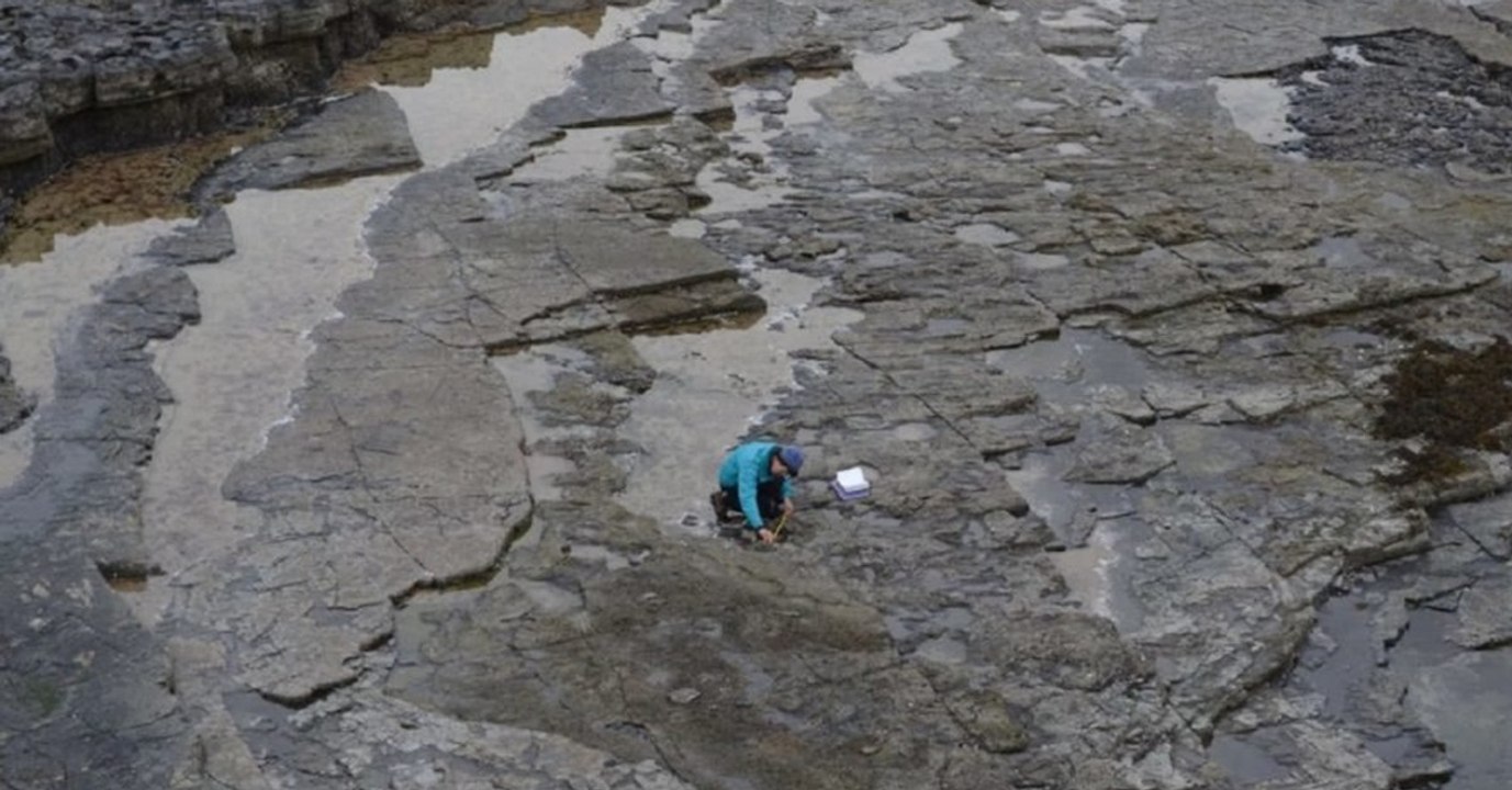 Sensationeller dino-fund in schottland