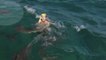 TV-Moderator vor laufender Kamera von Hai attackiert