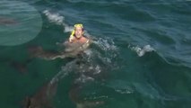 TV-Moderator vor laufender Kamera von Hai attackiert