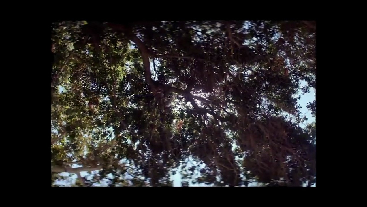 Lucy in the Sky Orijinal Fragman