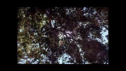 Lucy in the Sky Orijinal Fragman