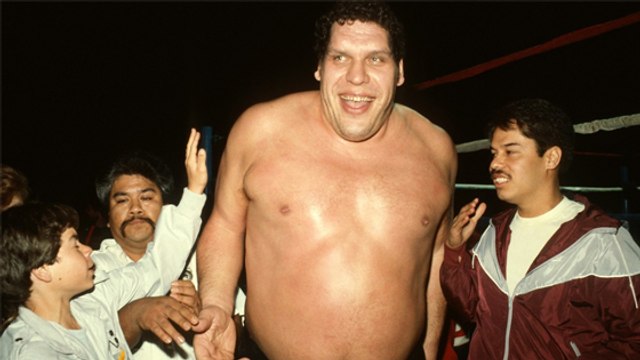 Wrestling: André the Giant - Biografie