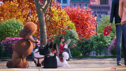 Evcil Hayvanların Gizli Yaşamı Orijinal Fragman (3)