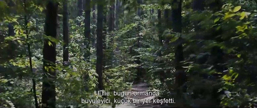 Hayvan Mezarlığı Altyazılı Fragmanı