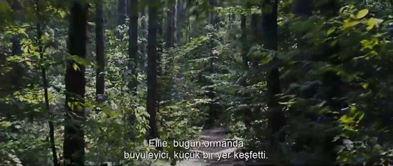 Hayvan Mezarlığı Altyazılı Fragmanı