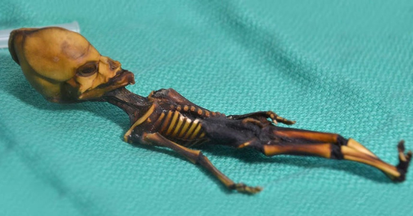 Ata: Die außerirdisch wirkende Mumie enthüllt ihr Geheimnis