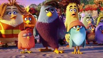 The Angry Birds Movie Tv Spot - Meet the Pigs