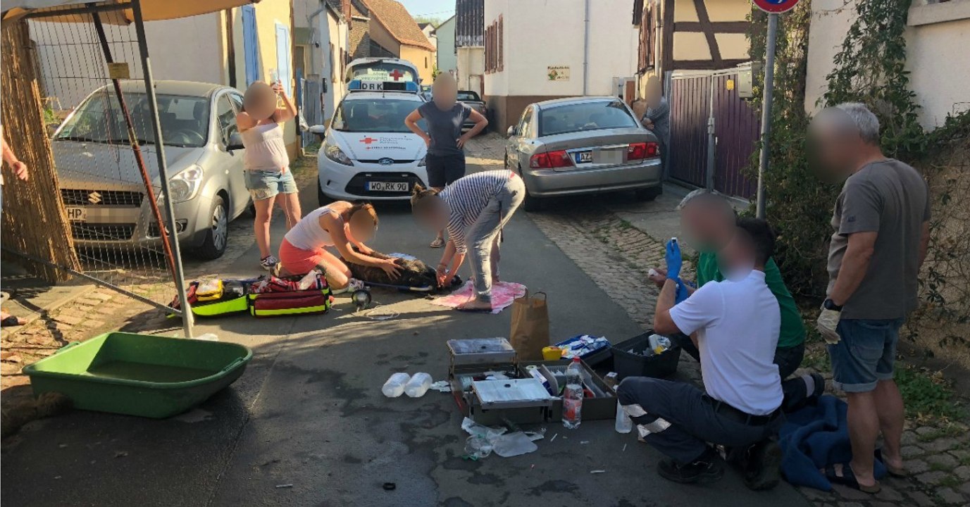 Drama in Rheinhessen am ersten sommerlichen Wochenende