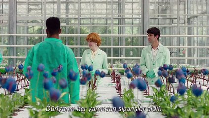 Küçük Joe Altyazılı Fragman