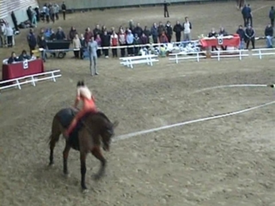 Thiers voltige Anne libre Cernay 2008