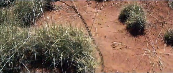 Güzel Ülke Orijinal Fragman