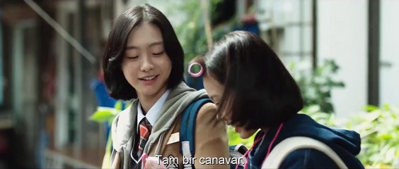 İntikam Altyazılı Fragman