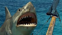 Der „Weiße Hai“ von Steven Spielberg hilft bei der Aufklärung eines seit 44 Jahren ungelösten Mordfalls