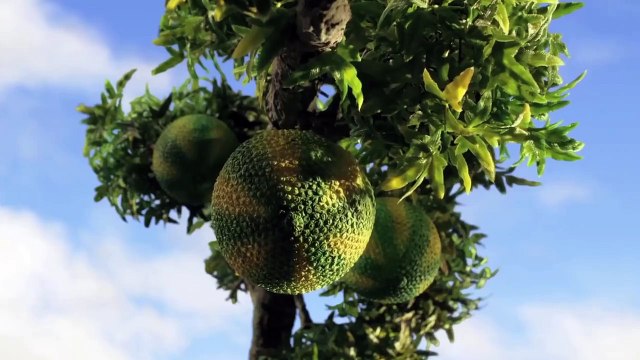 Taş Devri Firarda Orijinal Fragman (5)