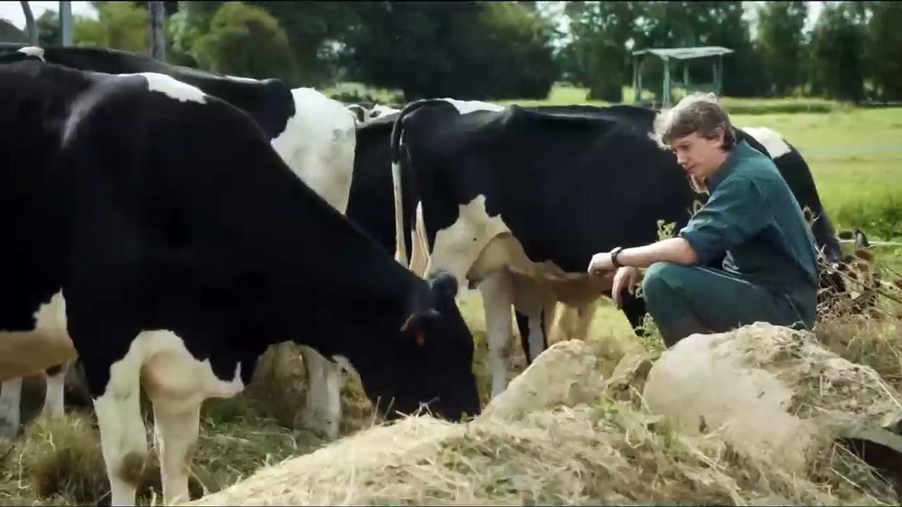 Petit Paysan Orijinal Fragman