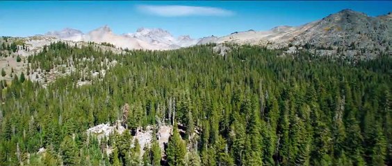 Traffik Orijinal Fragman