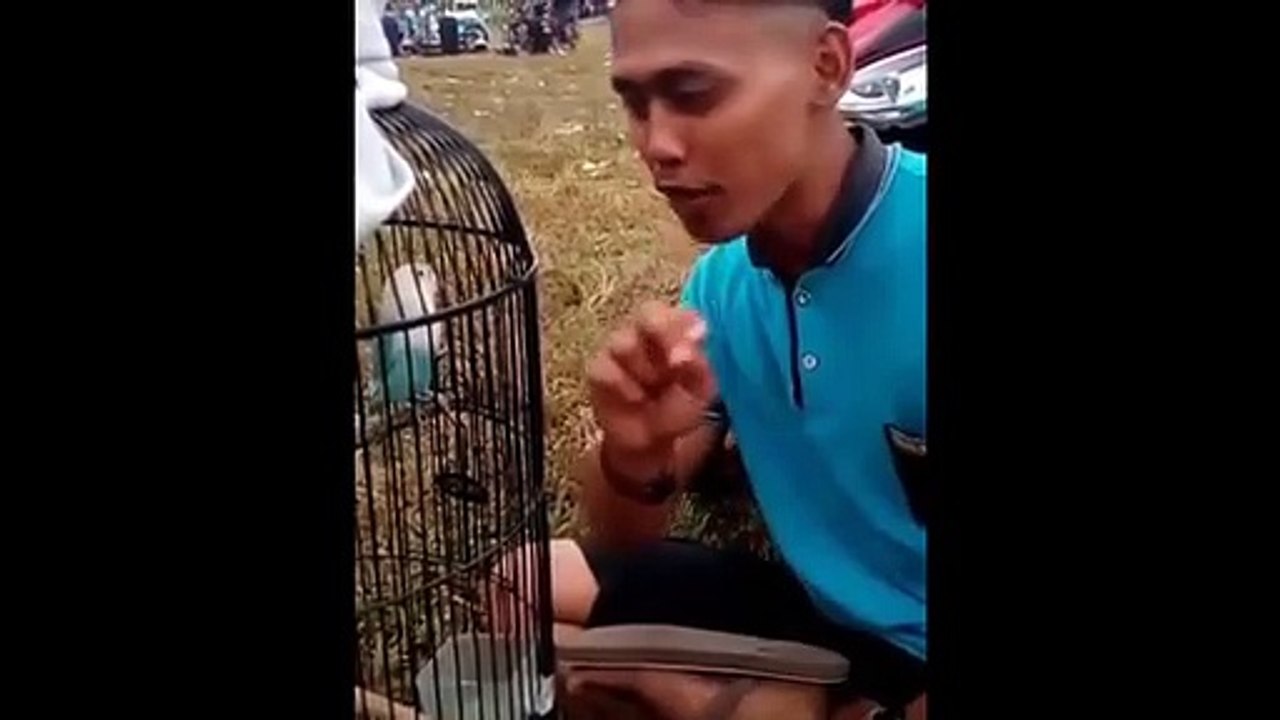 VIDEO LUCU TERBARU 2022 TAHAN TAWA TERBARU (part 3) ||FUNNY VIDEOS