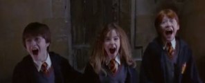 Harry Potter : Dix ans résumés en cinq minutes