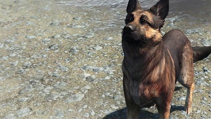 Fallout 4 : une grosse mise à jour en attendant un DLC
