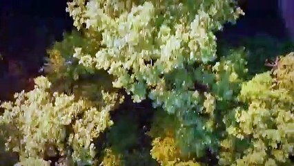 Payitaht Abdülhamid 92.Bölüm Fragmanı